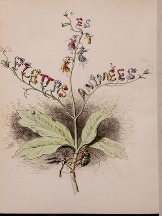 Les Fleurs Animées