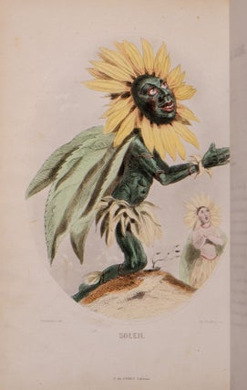 Les Fleurs Animées