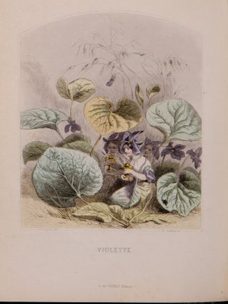 Les Fleurs Animées