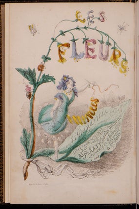 Les Fleurs Animées