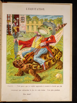 Grand Album D'Animaux Comiques (Big Book of Funny Animals)