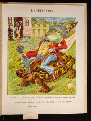 Grand Album D'Animaux Comiques (Big Book of Funny Animals)