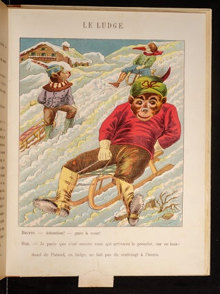 Grand Album D'Animaux Comiques (Big Book of Funny Animals)