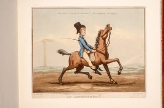 Horse Accomplishments