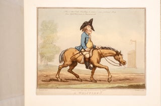 Horse Accomplishments