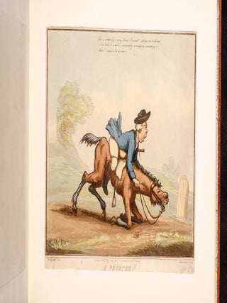 Horse Accomplishments