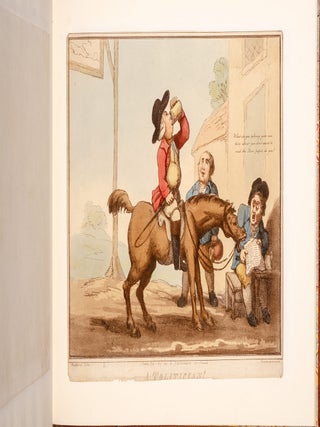 Horse Accomplishments
