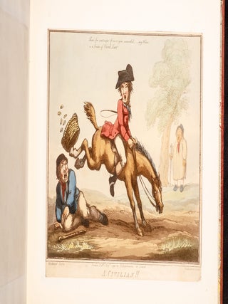 Horse Accomplishments