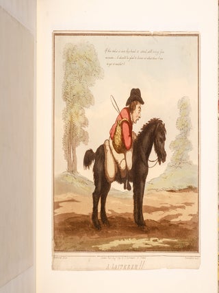 Horse Accomplishments