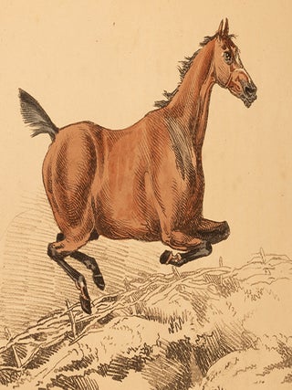 Item #05806 Beauties & Defects in the Figure of the Horse:, The. Henry ALKEN