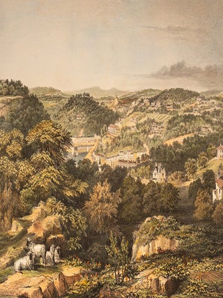 Item #05844 Scenery of Torquay and Babbicombe. Thomas Colman DIBDIN, Edward VIVIAN