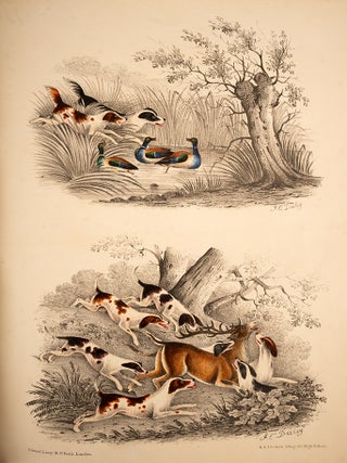 Item #05906 Sports and Races. J. C DEELEY
