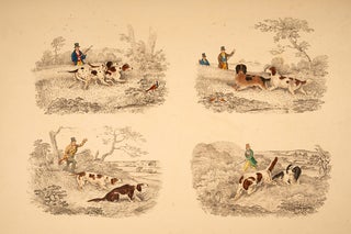 Sports and Races