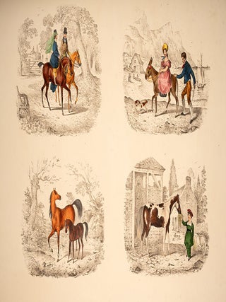 Sports and Races