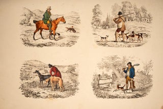 Sports and Races