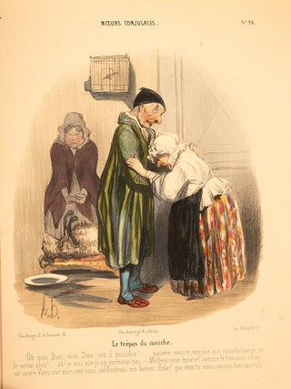 A fine album of thirty-three superb hand colored lithograph plates, heightened with gum arabic