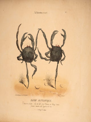 La Caricature, Journal. Dondé et Dirigé par Ch. Philipon