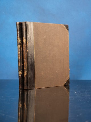 Cent et Un Robert-Macaire, Les
