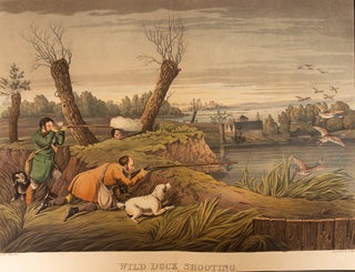 Collection of Sporting and Humorous Designs, A