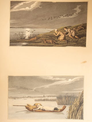 Collection of Sporting and Humorous Designs, A