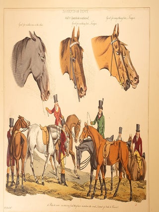 Collection of Sporting and Humorous Designs, A