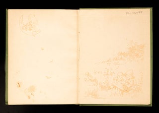 Tale of Peter Rabbit, The