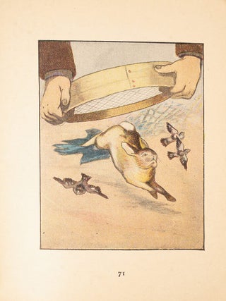 Tale of Peter Rabbit, The