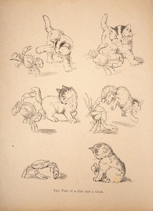 Comical Customers at the New Stores of Comical Rhymes and Stories