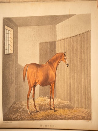 Sporting Repository, The