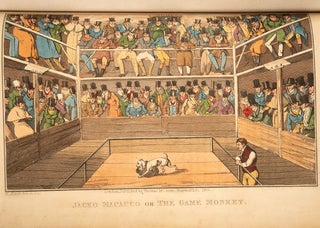 Sporting Repository, The
