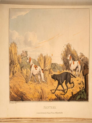 Sporting Repository, The