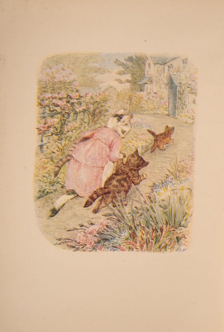 Tale of Tom Kitten, The | Beatrix POTTER