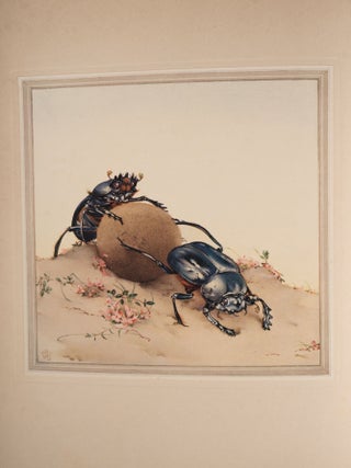 Fabre&rsquo;s Book of Insects