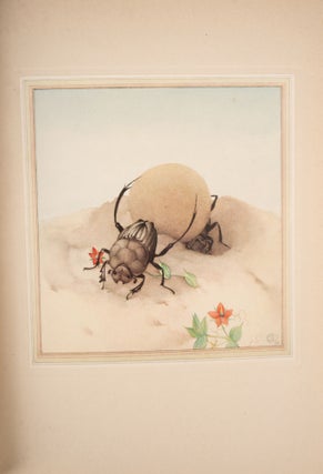 Fabre’s Book of Insects