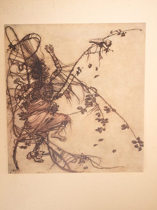 Fairy Tales of the Brothers Grimm, The