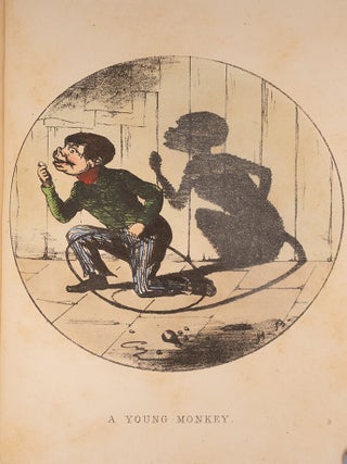 Shadows