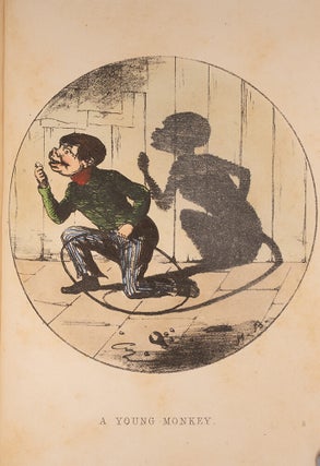 Shadows