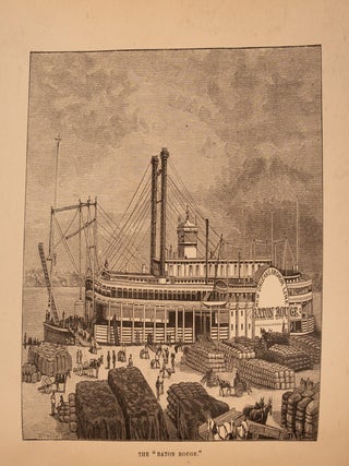 Life on the Mississippi