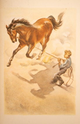 Red Pony, The