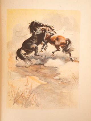 Red Pony, The