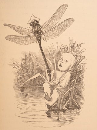 Water-Babies, The