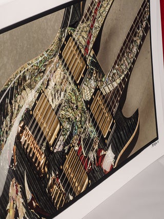 Guitar Collection, The