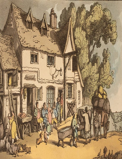 Item #06710 Rowlandson's Sketches From Nature. Thomas ROWLANDSON.